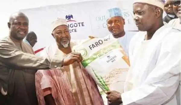 Jigawa: Local Rice Price Up by 20%